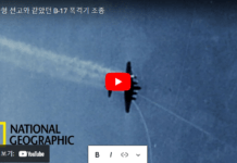 날으는 요새 B-17 폭격기